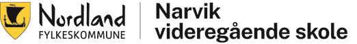 Narvik vgs